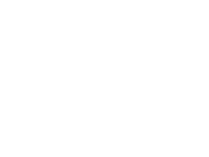 footer-logo